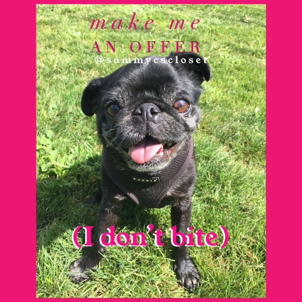 Toothless Pug